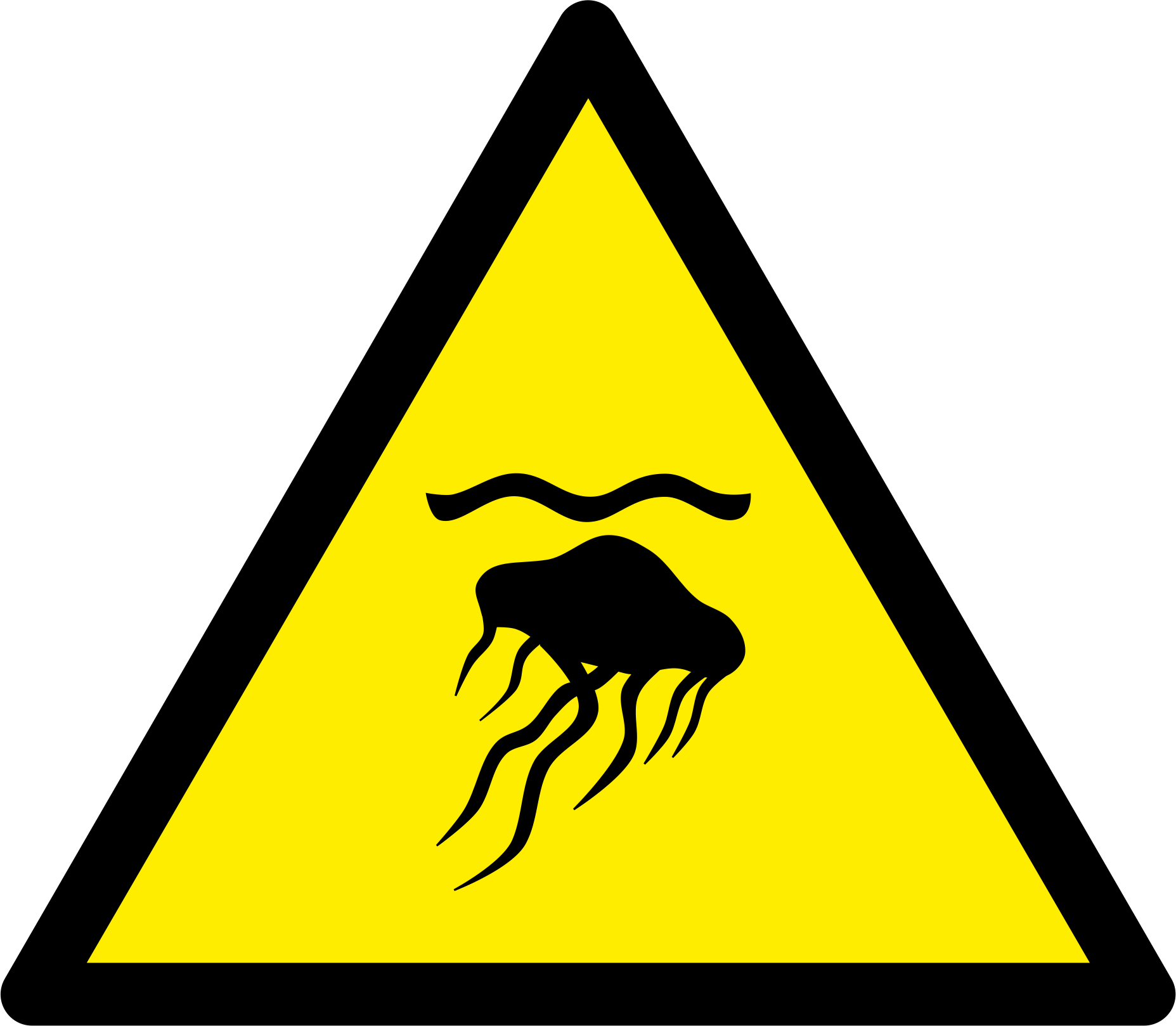 Jellyfish 