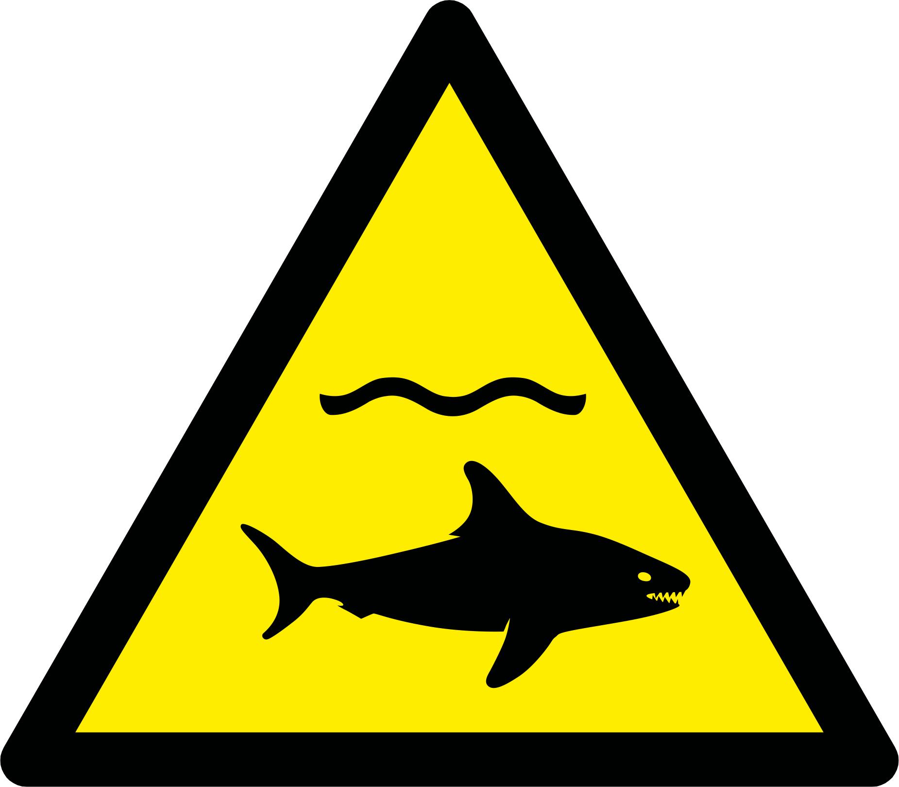 sharks 